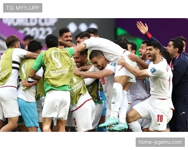 G组比利时伊朗出线热门 埃及新西兰实力差距明显